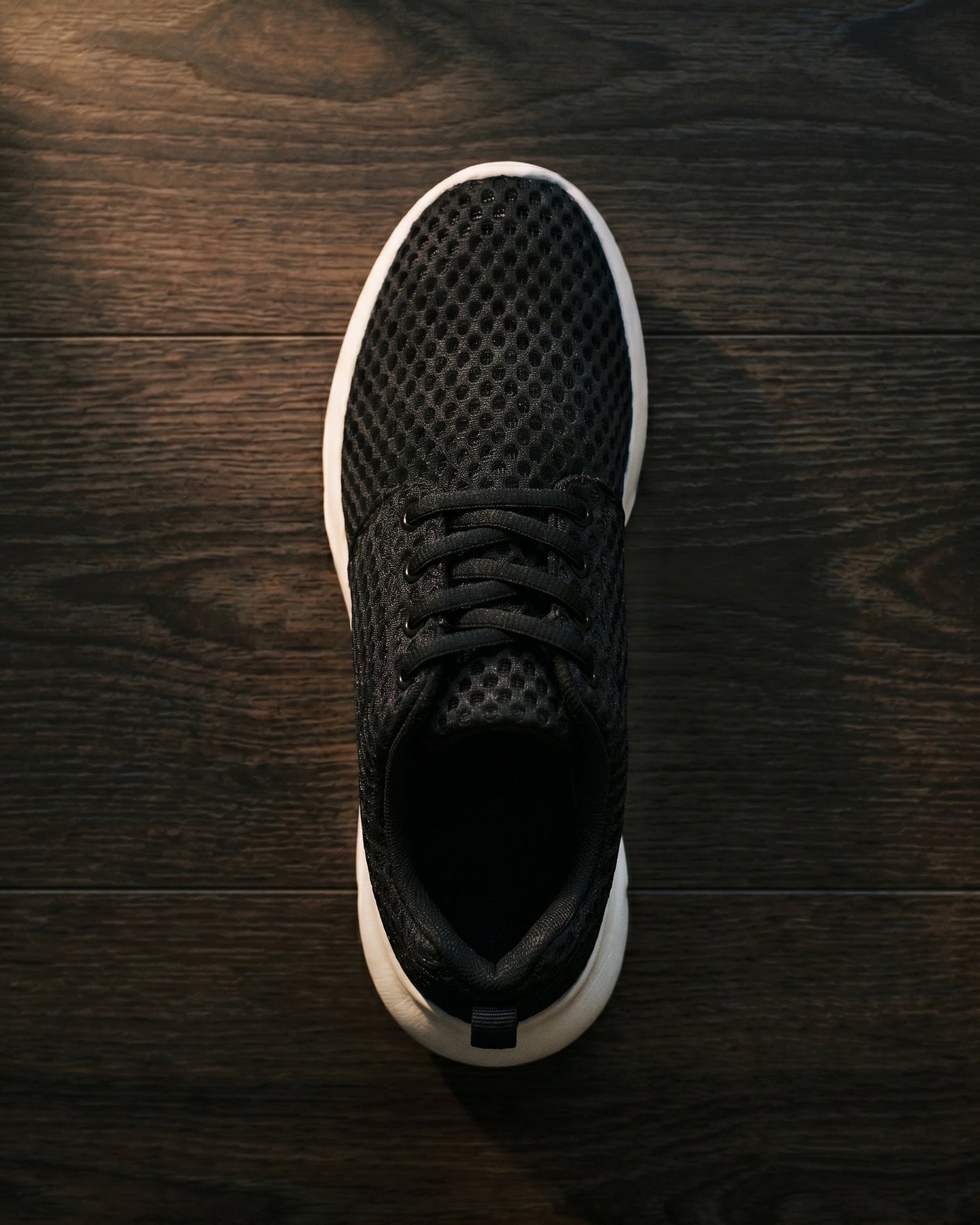 Orazio Perforated Mesh Sneaker